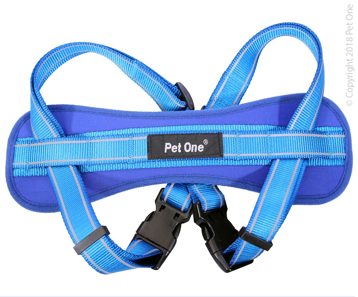 Pet One Reflective Padded Harness Blue [sz:50 - 84cm]
