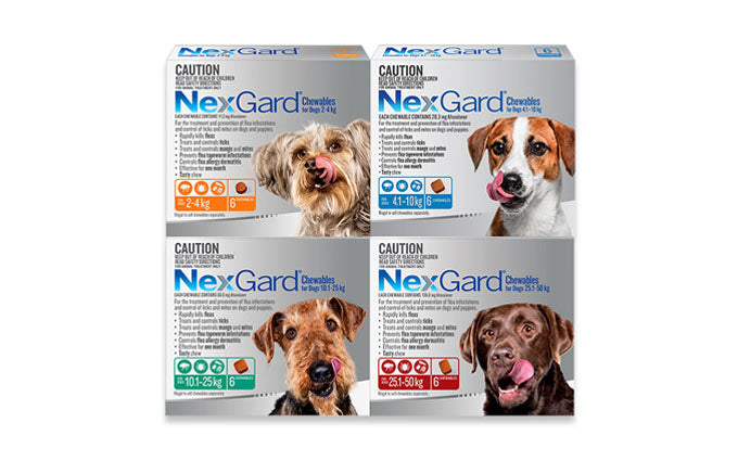 NEXGARD CHEWS LARGE GREEN 10.1-25KG [SZ:3 Pack]