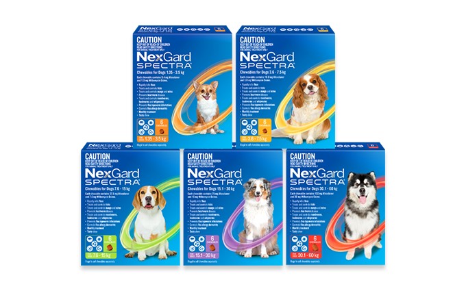 NEXGARD SPECTRA ORANGE 2-3.5KG [SZ:3 Pack]