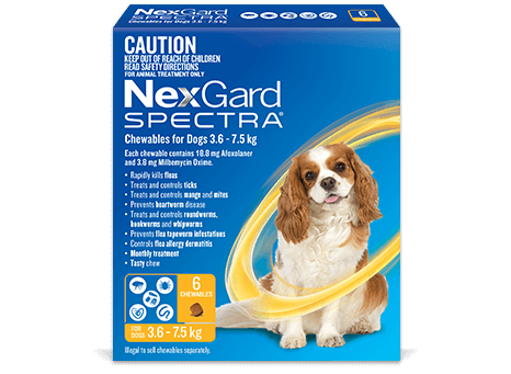 NEXGARD SPECTRA YELLOW 3.6-7.5KG [SZ:3 Pack]