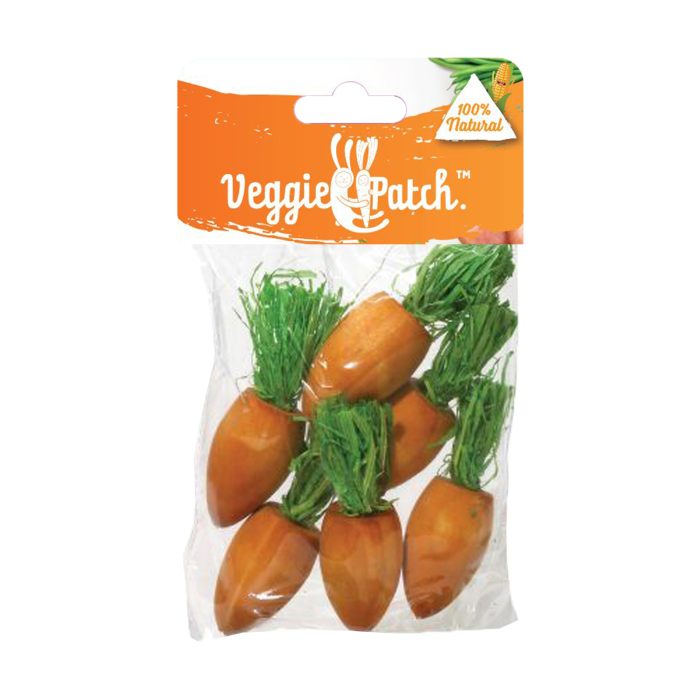 VEGGIE PATCH PLAY CARROT 6PK