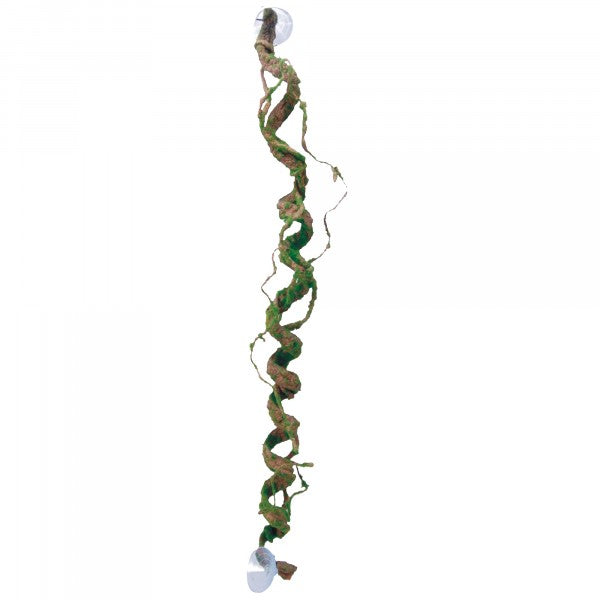 Eco Tech Corkscrew Vine 80cm