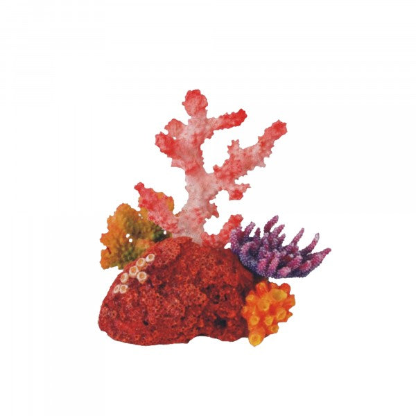 Bioscape Fantasy Coral Garden