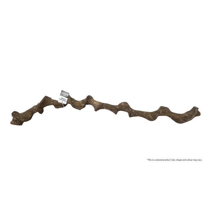 BIOSCAPE TWISTED VINE 90CM