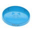 SCREAM OVAL CAT BOWL 300ML LOUD BLUE 