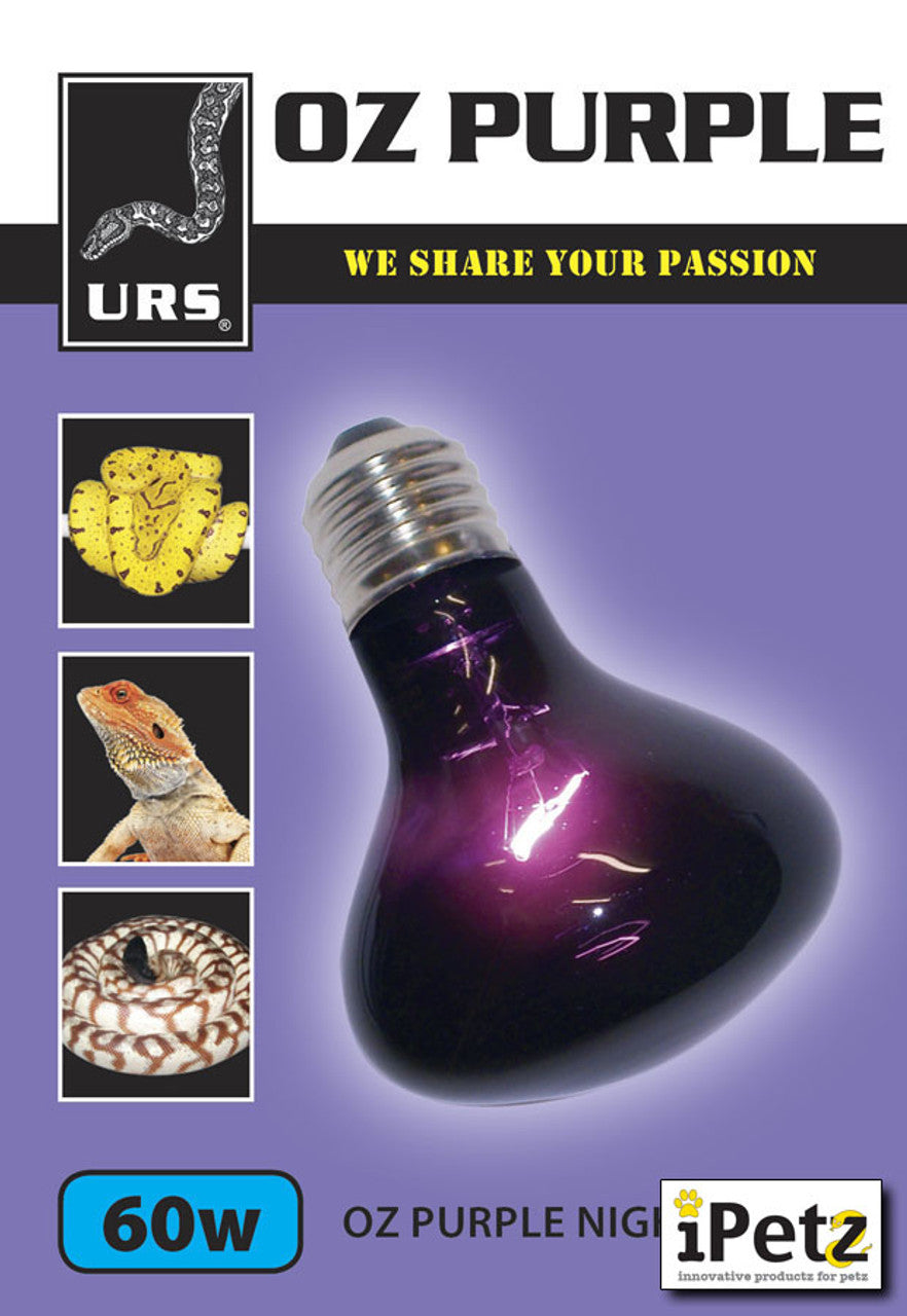 Urs Purple Globe [sz:60w]