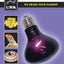 Urs Purple Globe [sz:60w]