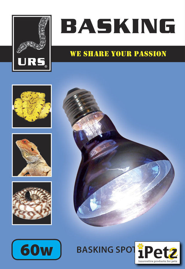 Urs Basking Globe [sz:60w]