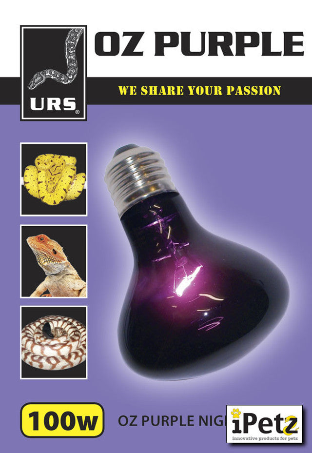 Urs Basking Globe [sz:60w]