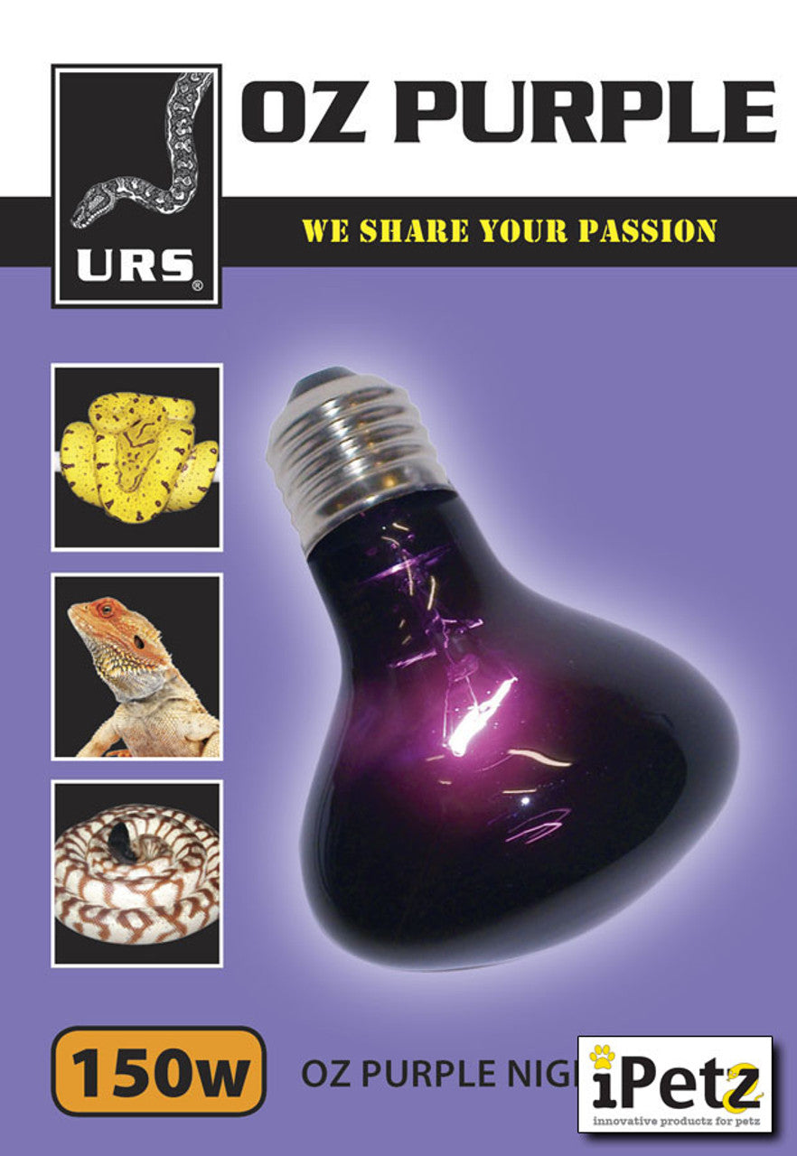 Urs Basking Globe [sz:60w]