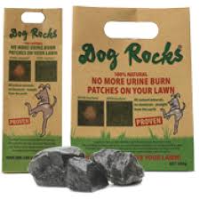 DOG ROCKS [SZ:200G]