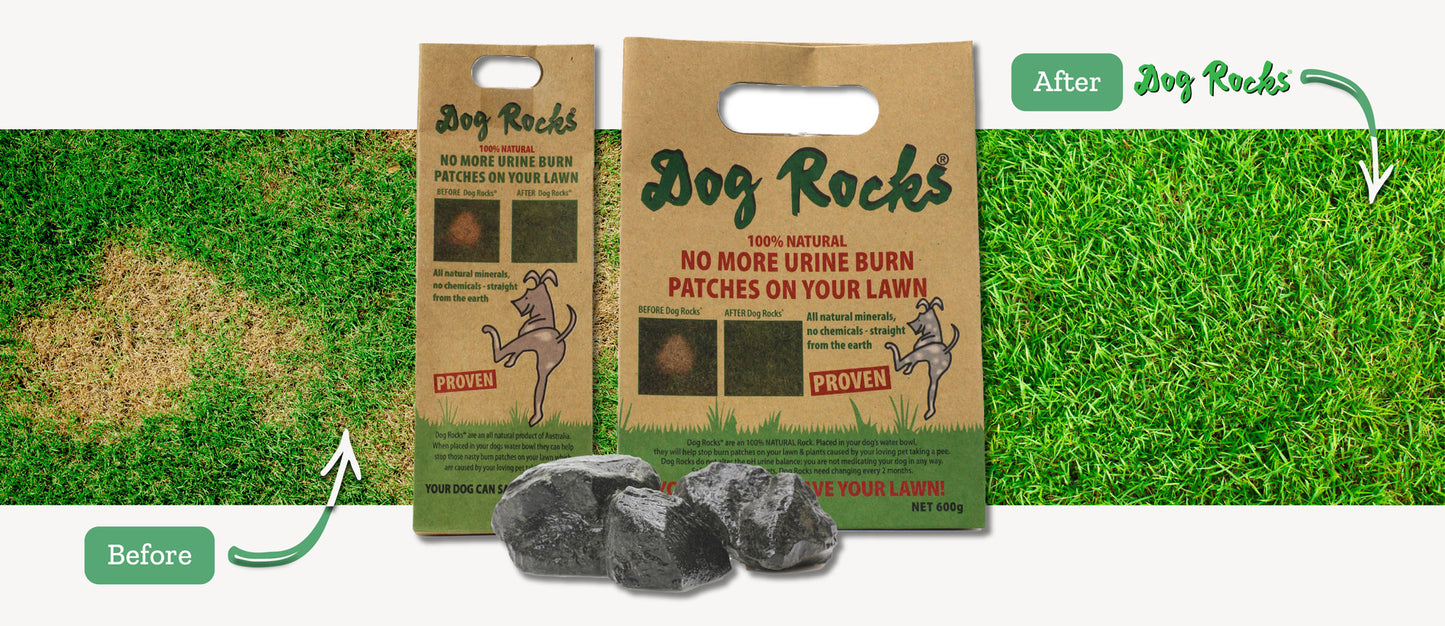 DOG ROCKS [SZ:200G]
