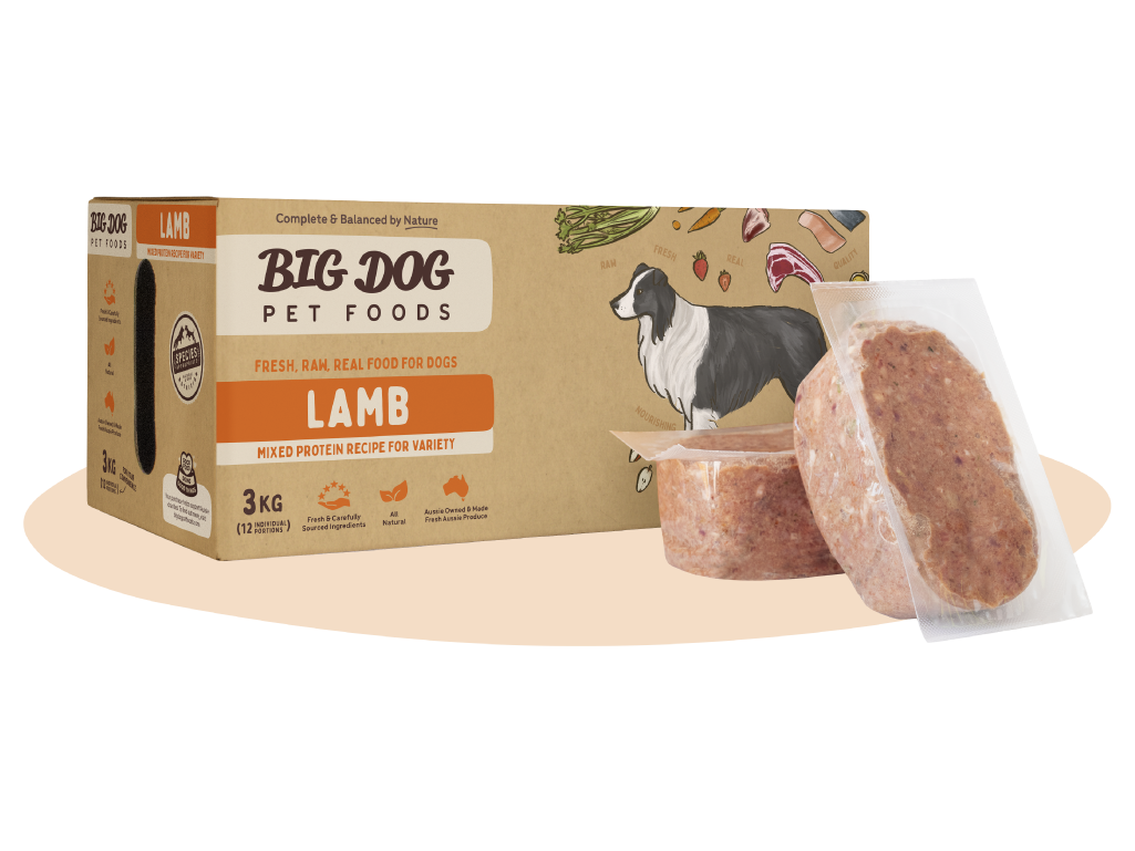 Big Dog Lamb For Dogs 3kg