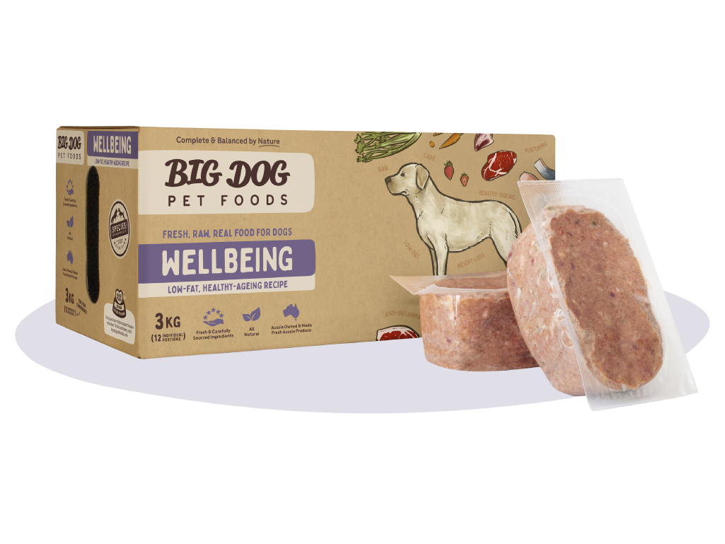 Big Dog Wellbeing For Dogs 3kg