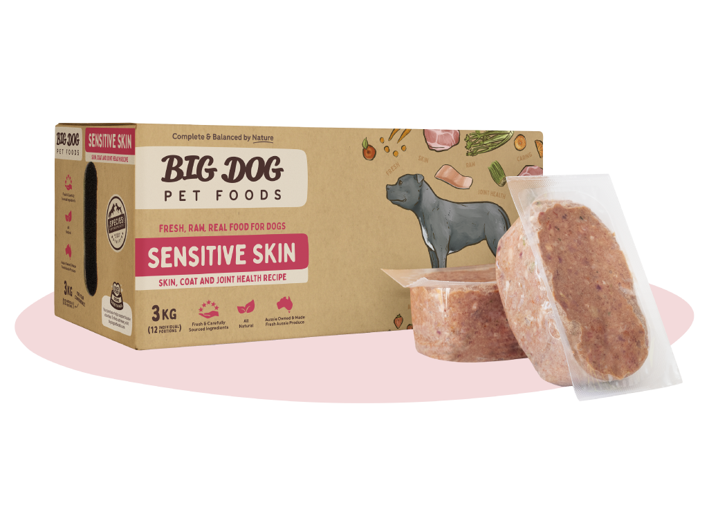 Big Dog Sensitive Skin For Dogs 3kg