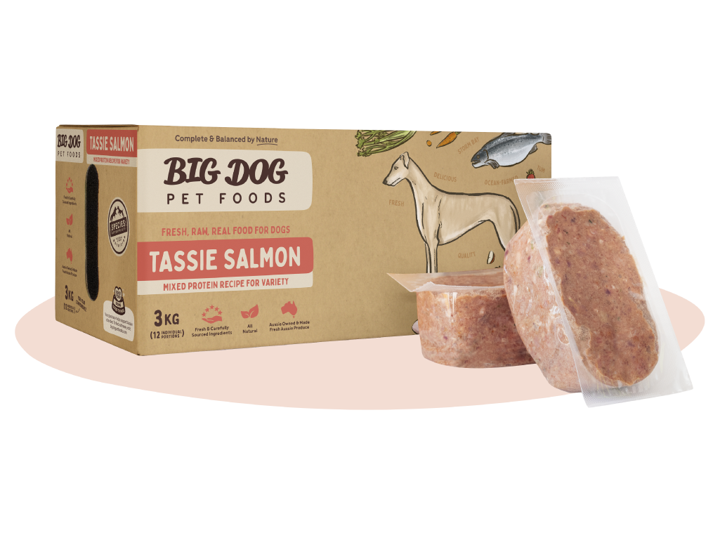 Big Dog Tasmanian Salmon For Dogs 3kg