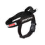 Ezydog Express Harness Black [sz:small]