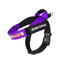 Ezydog Express Harness Purple [sz:small]