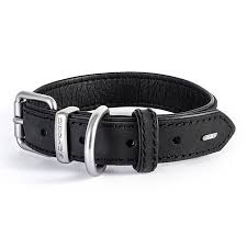 Ezydog Oxford Collar Black [sz:small]