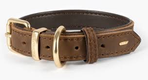 Ezydog Oxford Collar  Brown [sz:small]