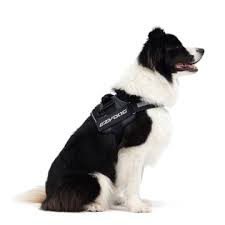 Ezydog Harness Convert Camo [sz:medium]