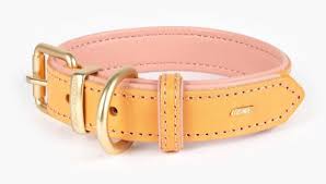 Ezydog Oxford Collar Blush [sz:small]