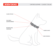 Ezydog Oxford Collar Blush [sz:small]