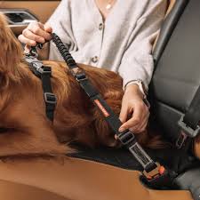 Ezydog Click Dog Seatbelt Attachment Zero Shock