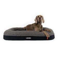 Ezydog Ortho Calm Elite Dog Bed [clr:charcoal Sz:medium]