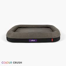 Ezydog Ortho Calm Elite Dog Bed [clr:charcoal Sz:medium]