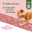 Trouble & Trix Cherry Blossom Natural Clumping 10l