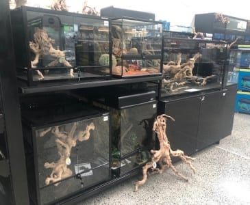 The Pet Place - Reptiles